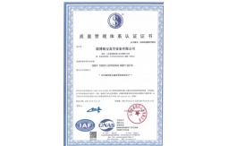 榮譽證書