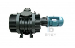 ZJP roots vacuum pump