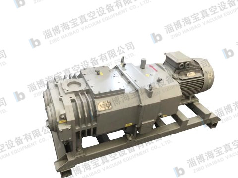 Dry screw vacuum pump and unit